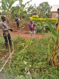 A picture of Plot for sale
