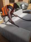 A picture of Professional sofa cleaning carpets and fumigation solutions vaxcleanfumigation VAXCLEAN38 GMAIL