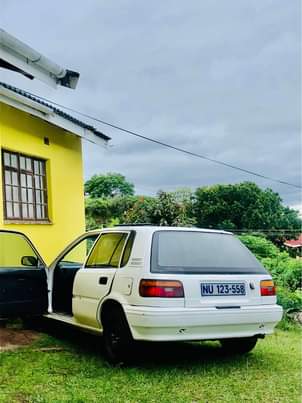 Thabang M.
