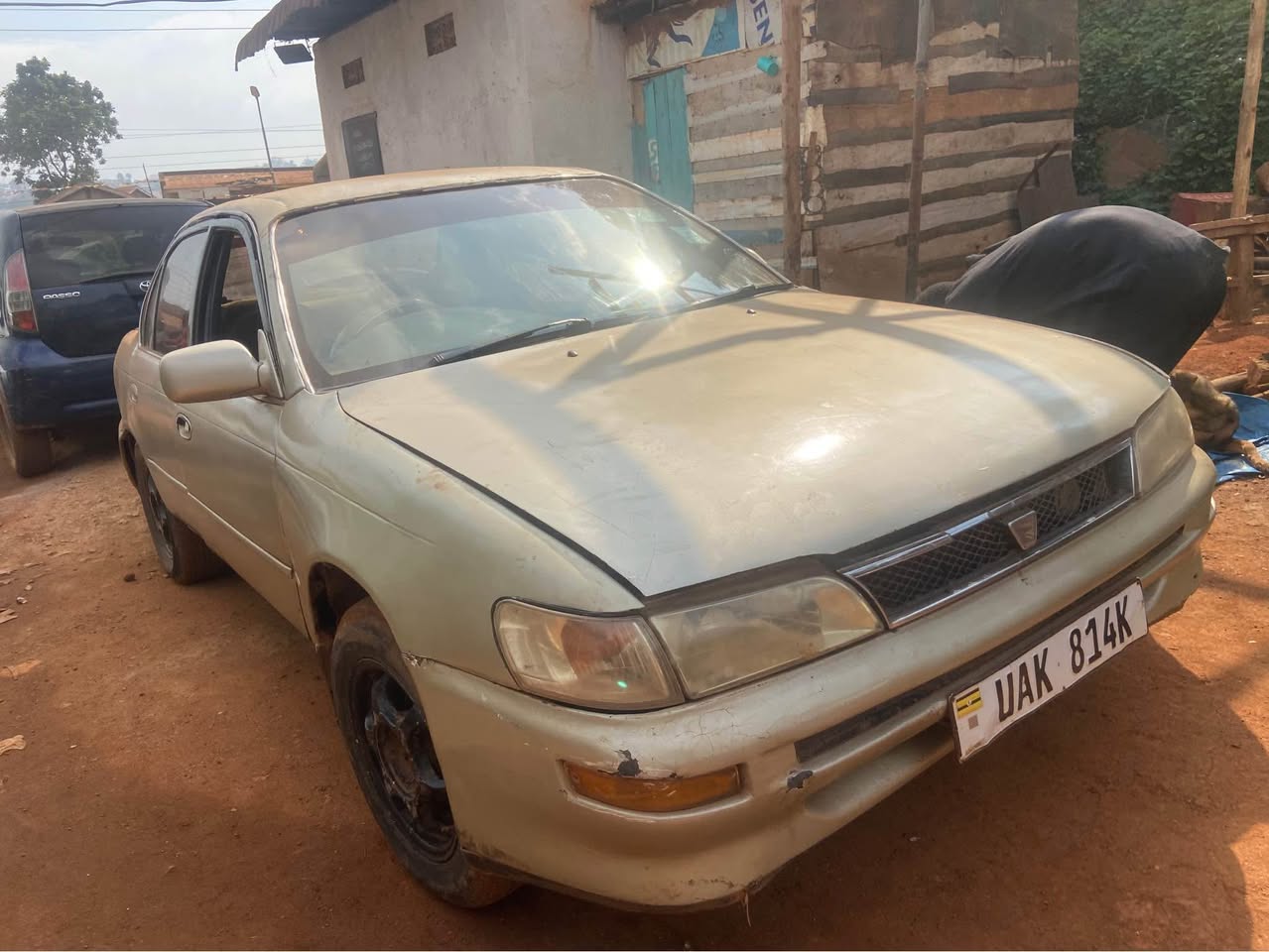 toyota kikumi
