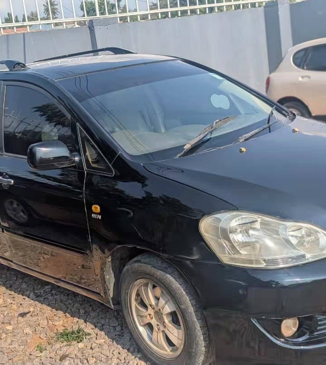 A picture of Toyota Ipsum