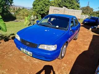 Mkholo M.