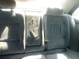 A picture of 406 MONKEY TALE DISTRESS 08038959545