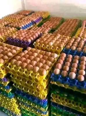 A picture of Eggs Distribution Business A Hidden Gold Mine In Nigeria Eggs