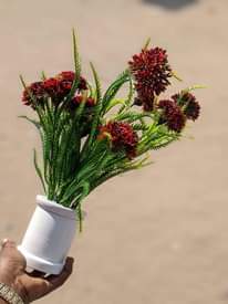A picture of Vase flower 
