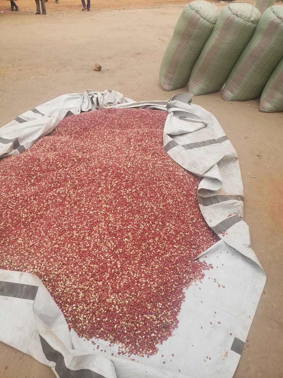 A picture of Gnuts and all it s products