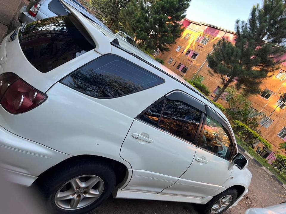 A picture of Harrier