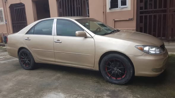 A picture of Camry Big Daddy