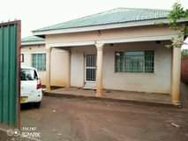 Mwexy K.