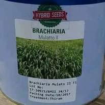 A picture of OFFER GOOD NEWS TO CATTLE GOAT FARMERS. 120 000 Ugshs