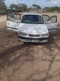 Mwai M.