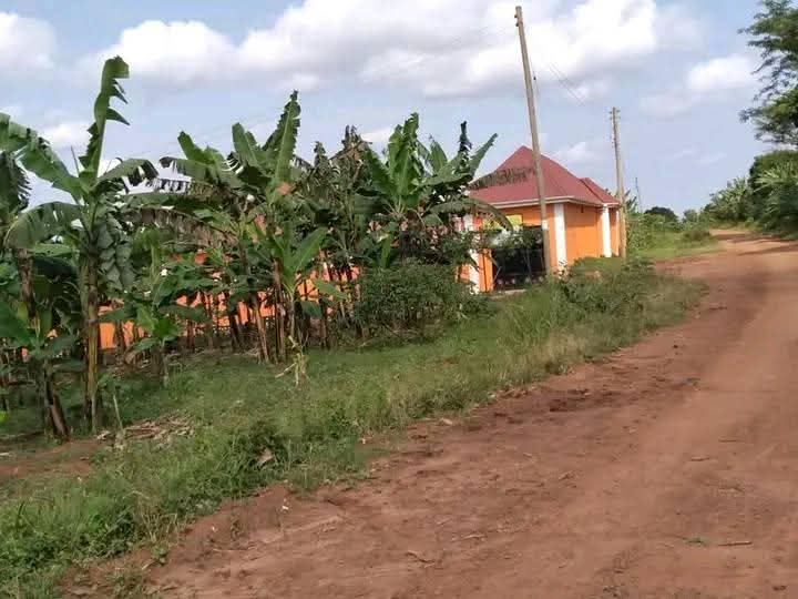 A picture of 50 100ft plot 14m negotiable nakawuka jungo