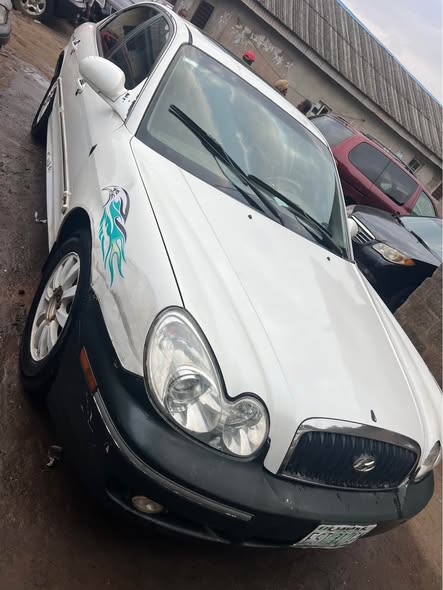 A picture of Hyundai Sonata 2008 model