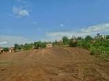 A picture of BUKALANGO ESTATE NEAR CATHOLIC CHURCH 50BY100 WITH READY LAND TITLE