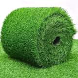 grass
