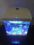 A picture of 9L Aquarium Tank With All Decorations