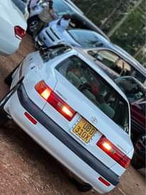 A picture of 0751044800