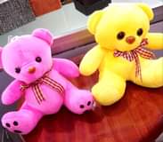 A picture of BEARS