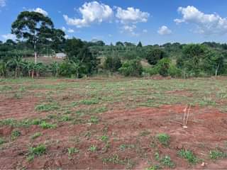 A picture of Plots at 28m Kiwenda