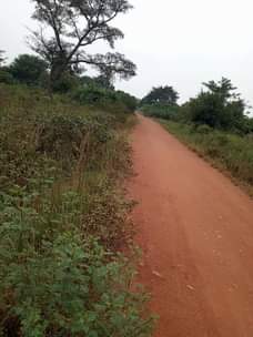 A picture of 10 fertile acres on sale all at 78m it s