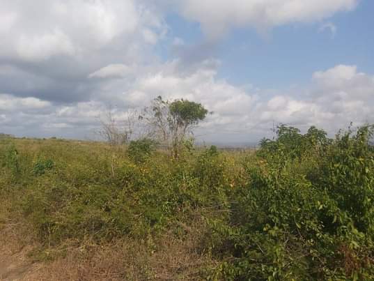 A picture of shamba linauzwa lipo bagamoyo kiwangwa bago