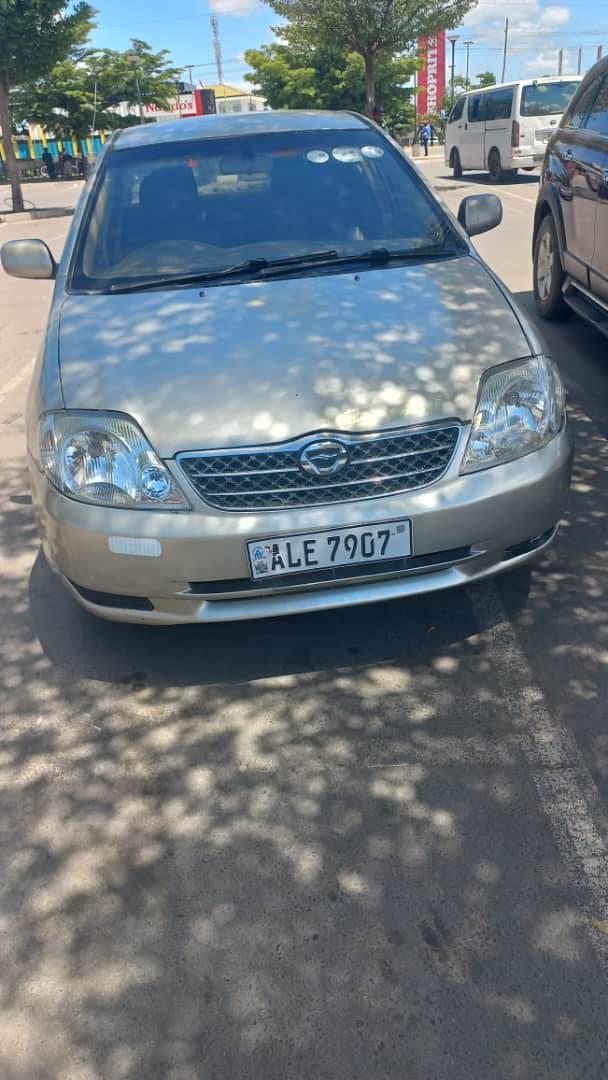 used toyota corolla