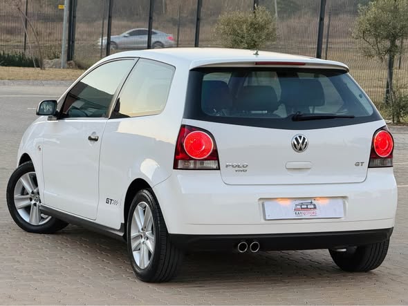 polo vivo