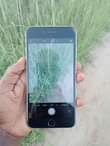 A picture of Iphone 6 plus gb64 bh100 finger ok krek moj tu