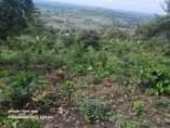 A picture of 50 100 at Wakiso Bakka on sale 6M contact me
