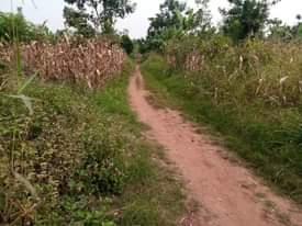 A picture of PLOT 70 170ft FOR SALE IN NAKASEKE KAPEEKA