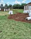 A picture of Landscaping service