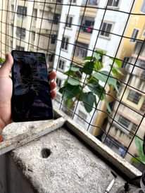 A picture of Google pixel 6a