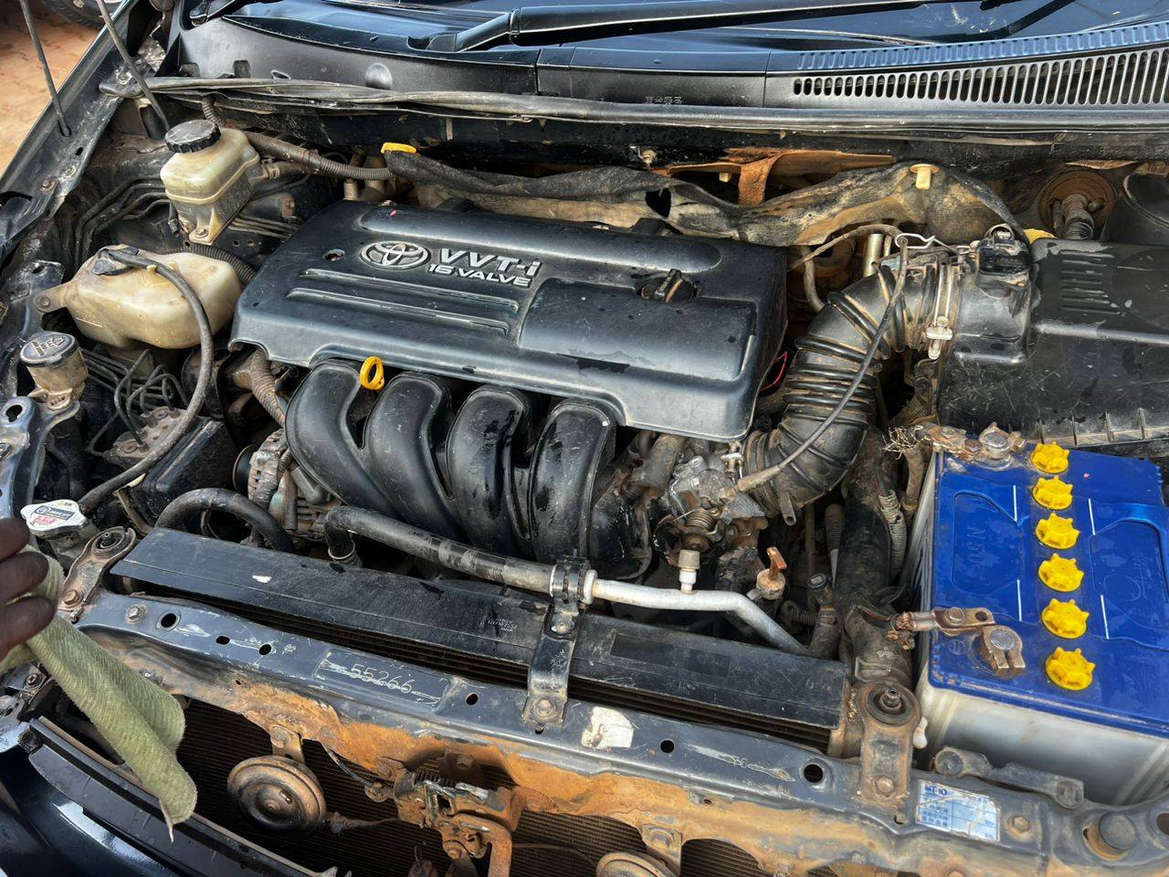 A picture of Wish in good condition 13m