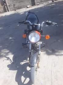 A picture of Boxer bm 125