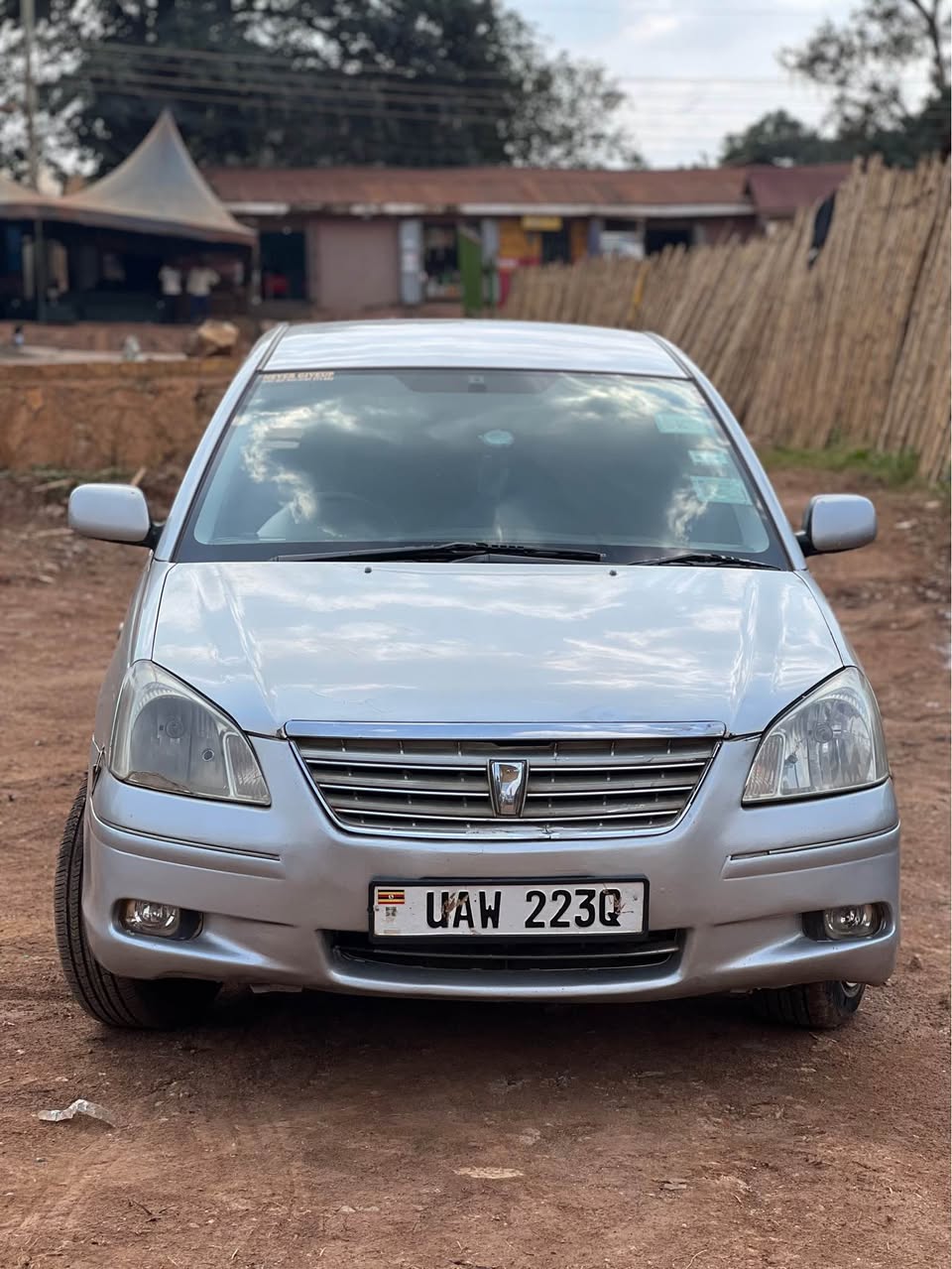A picture of Premio c light