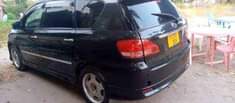 A picture of Ipsum Bei 7 5m cc2360 0688147887