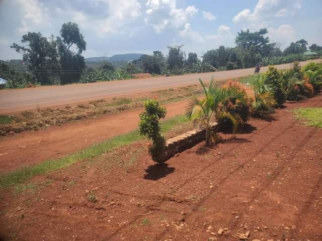 A picture of Commercial land of 25 decimals with an operating bar for