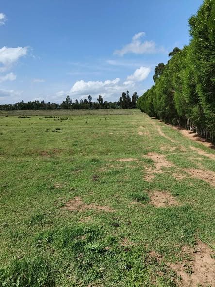 agricultural