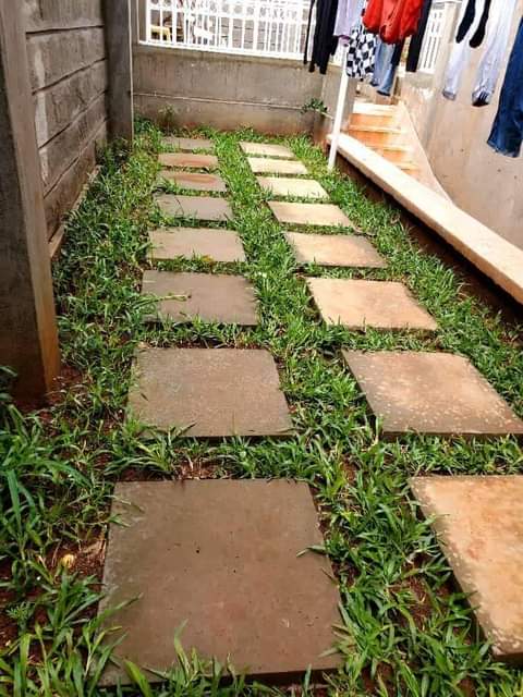 lawn