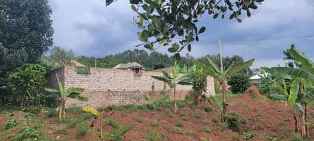 A picture of Land for sale in wakiso luggi