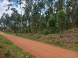 A picture of Bombo Ndejje university view