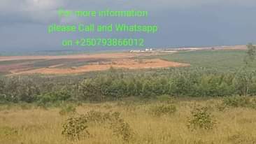 A picture of Bugesera lands for sale 0793866012