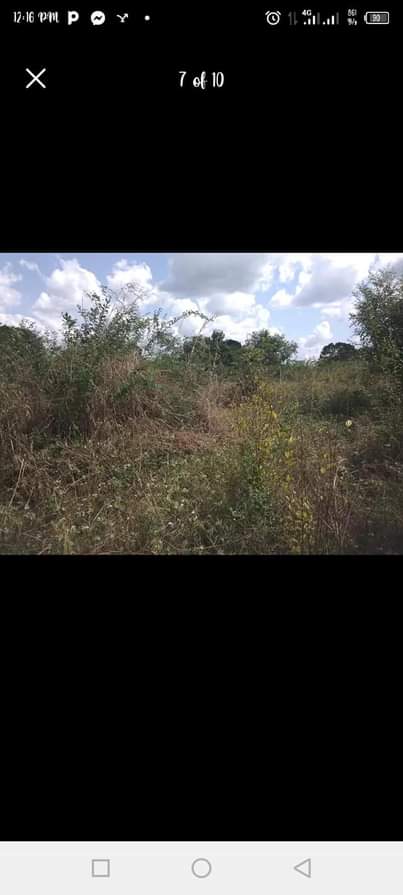 A picture of SHAMBA ZURI HEKA 5 LINAUZWA LIPO MZENGA ZEGERO KARIBU NA