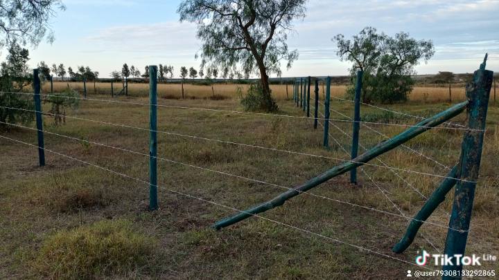 50 100 plots