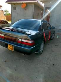 A picture of Kikumi super