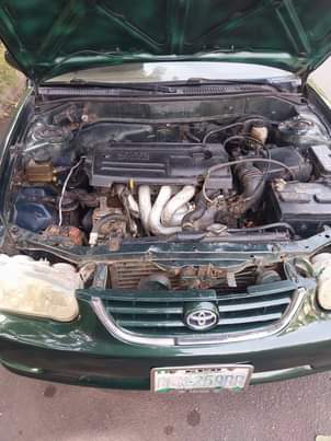 A picture of Small but mighty Corolla