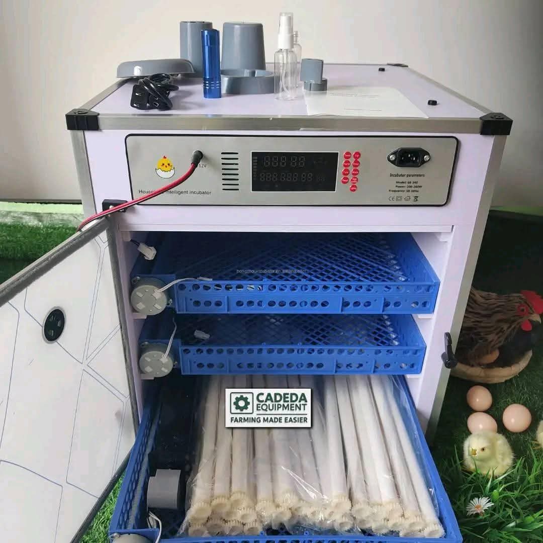 egg incubator