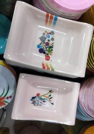 A picture of platesin