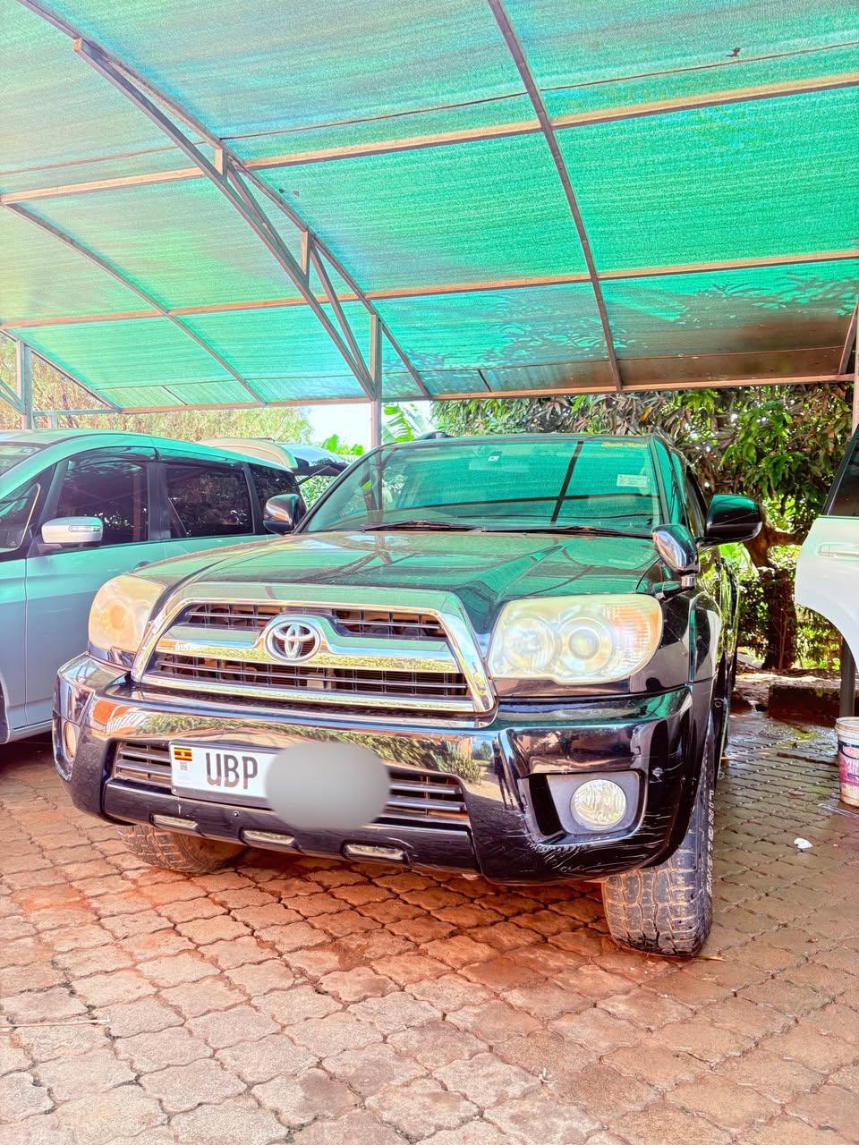toyota surf