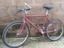 A picture of Bikes